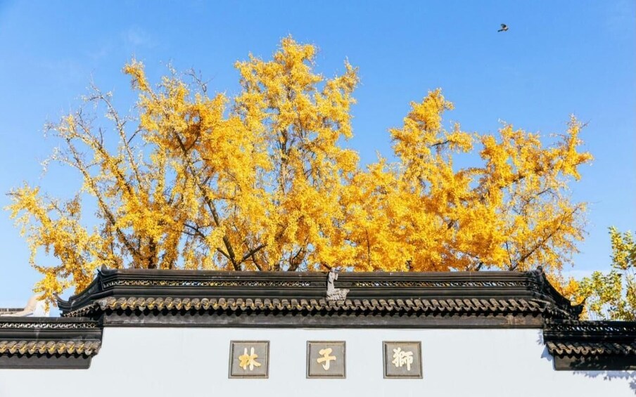 Picture 5 for Activity Suzhou Top Gardens Combo Entrance Ticket 5
