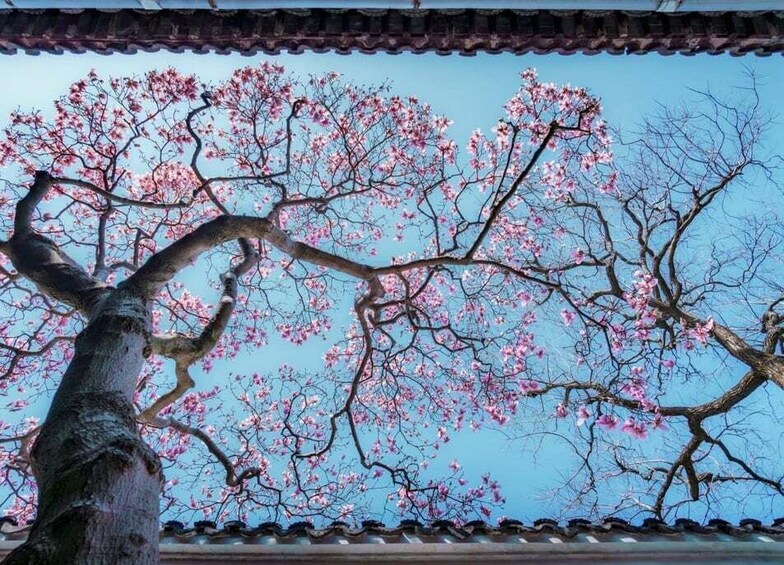 Picture 9 for Activity Suzhou Top Gardens Combo Entrance Ticket 3