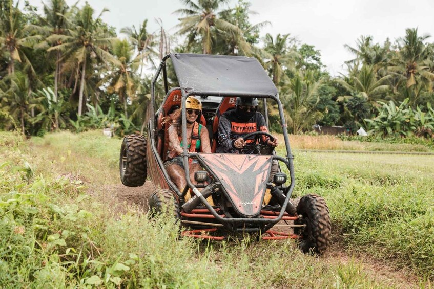 A four-wheeled off-road vehicle in a grassy field with palm trees in the background. 3