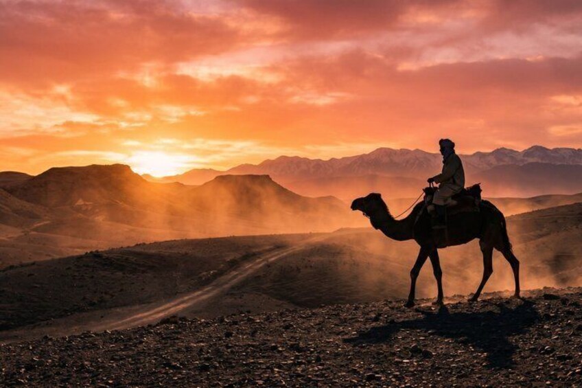 Marrakech Agafay Desert Dinner Quadbiking Sunset Camel Ride 1