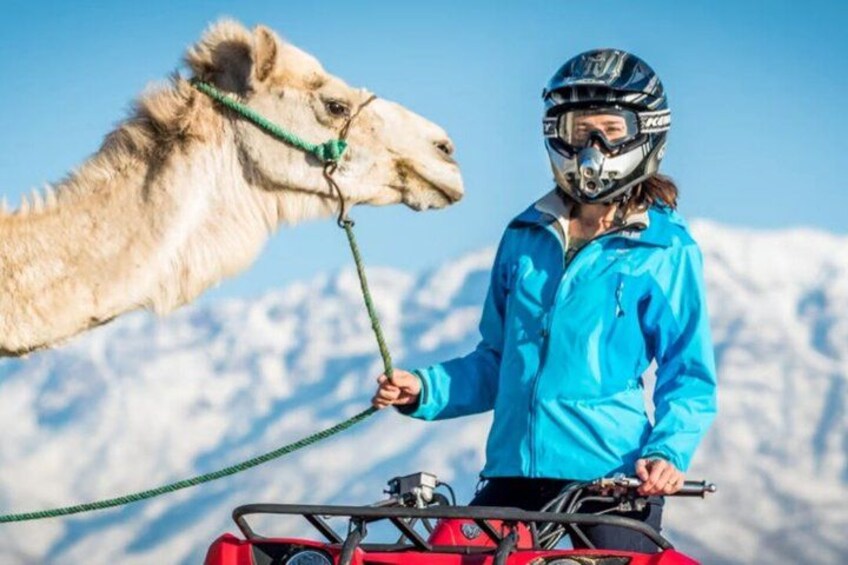 A person in a blue jacket riding a red ATV with a camel beside them. 1
