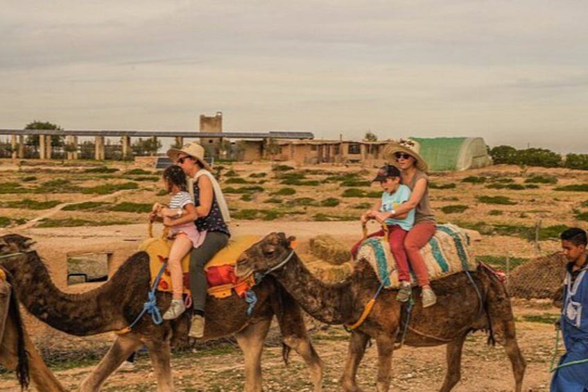 Personas montando camellos en un paisaje desértico con vegetación escasa y algunos edificios al fondo. 5