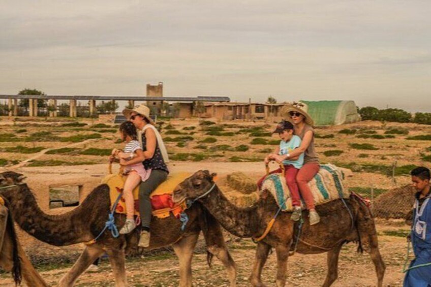 Three camels with riders in a desert landscape with sparse vegetation and a few buildings in the background. 3