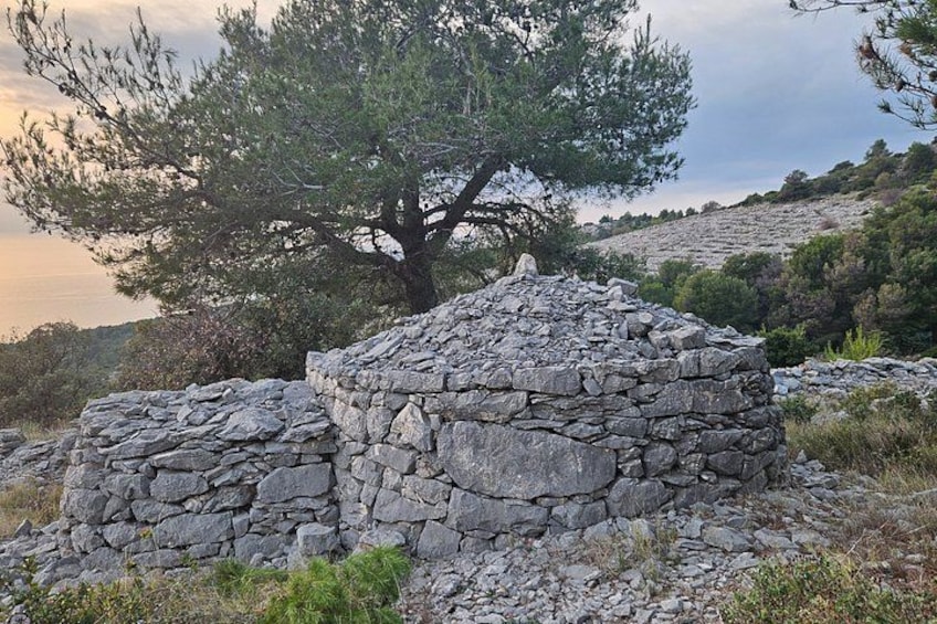A stone structure in a natural landscape with a large tree and hills in the background. 3