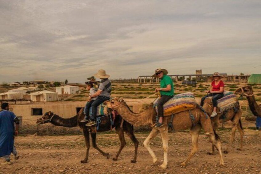 Three camels with riders in a desert setting, with buildings in the background. 2
