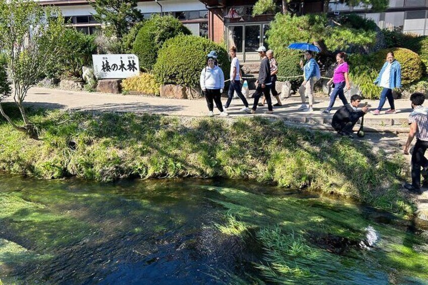 A group of people walking by a stream with greenery and a sign in the background. 4