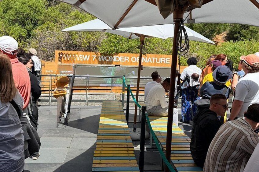 Table Mountain Cableway Ticket Self Guided Experience 2