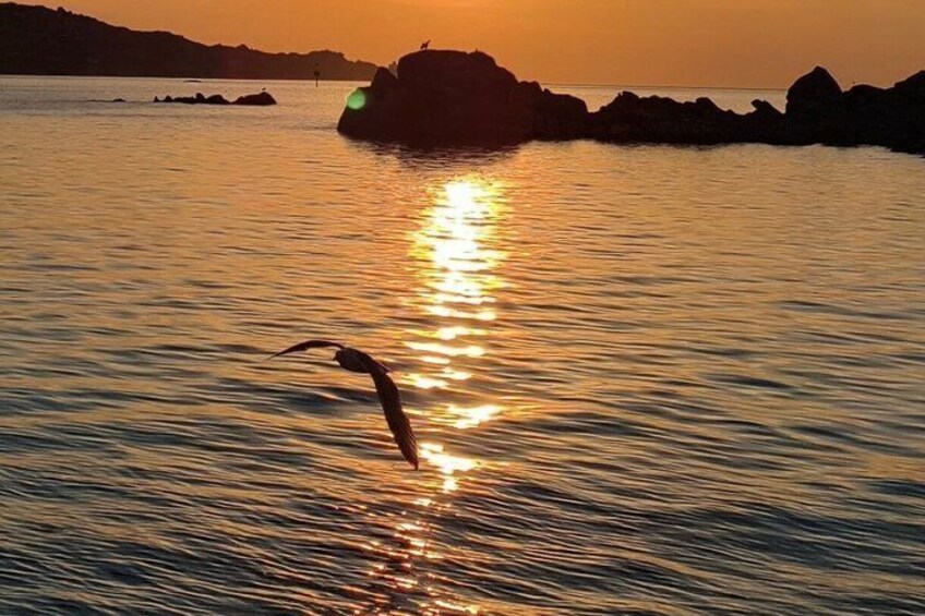 Sunset Aperitif Tour from La Maddalena or Palau 3