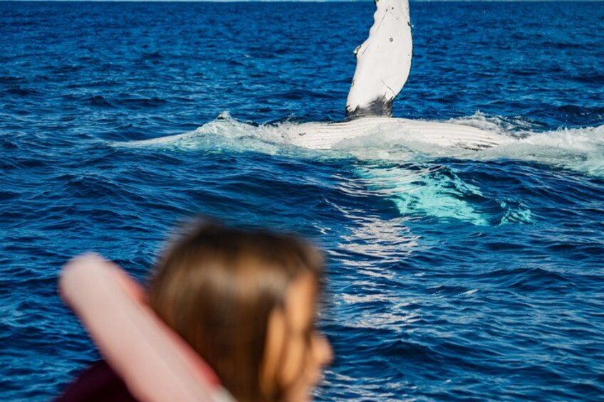 Ultimate Ocean Encounter Group Charter 4