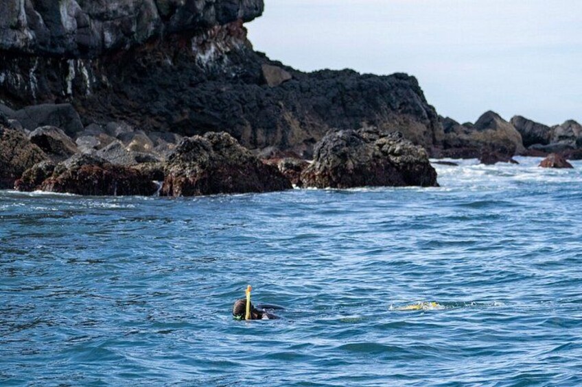 Ultimate Ocean Encounter Group Charter 5
