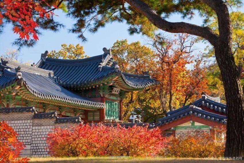 A traditional Korean temple with ornate architecture, surrounded by autumn foliage. 1