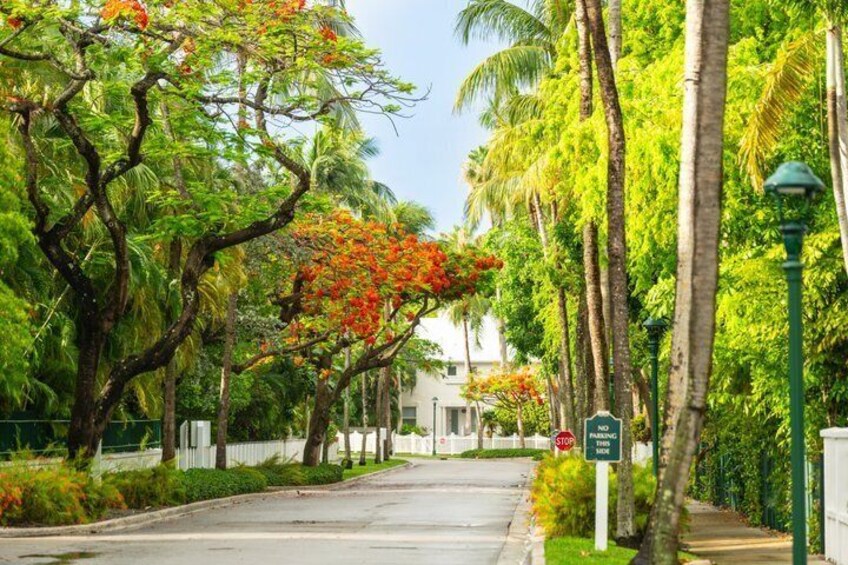 A tree-lined street with a stop sign and a green signpost. 5