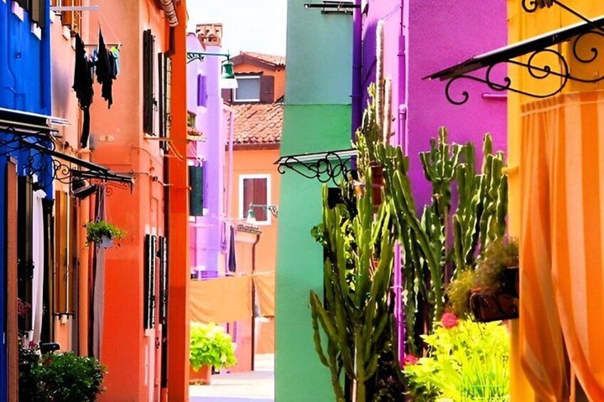 A narrow street with colorful buildings, a cactus plant, and hanging laundry. 4