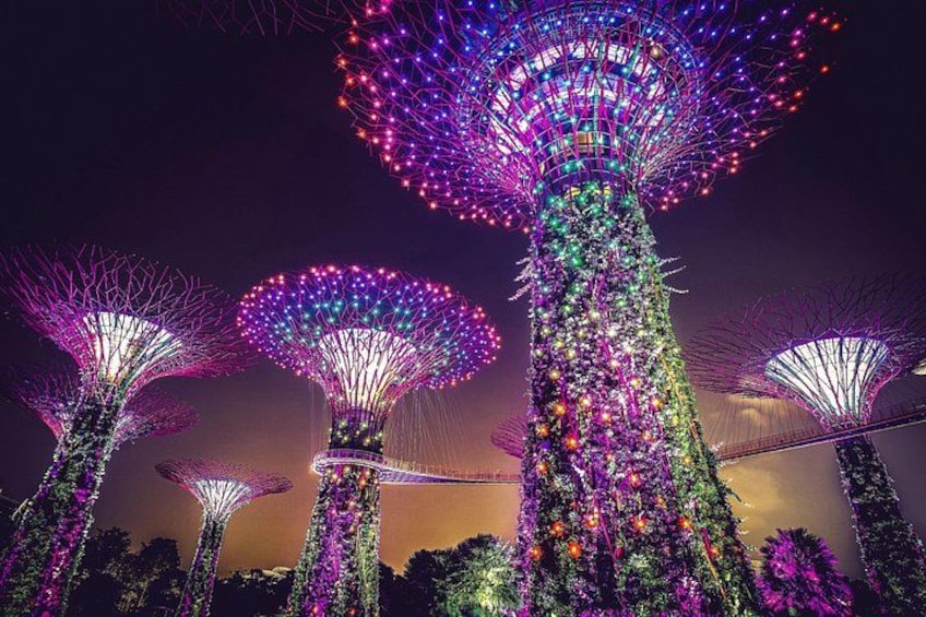 Illuminated structures resembling trees with spherical tops, set against a night sky. 4