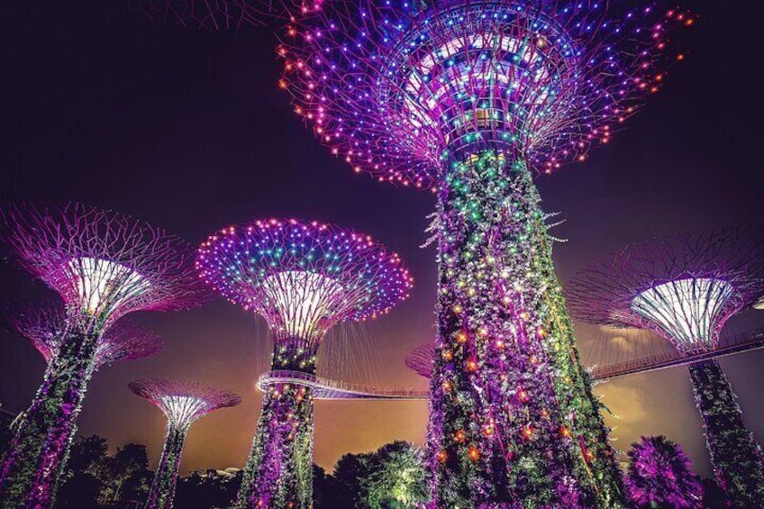 Illuminated structures resembling trees with spherical tops, set against a twilight sky. 4