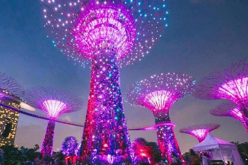 Singapore Starry Night River Cruise, Spectra & Garden Rhapsody 3