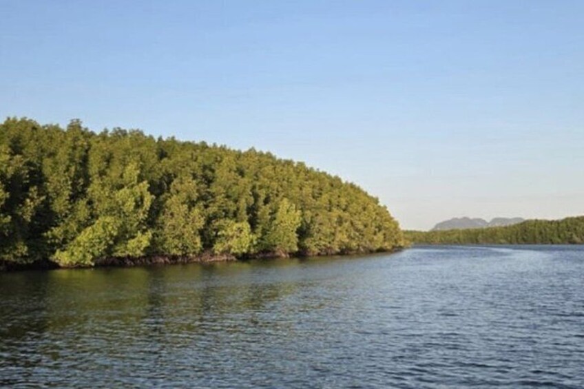 A calm lake with a dense forested island. 4
