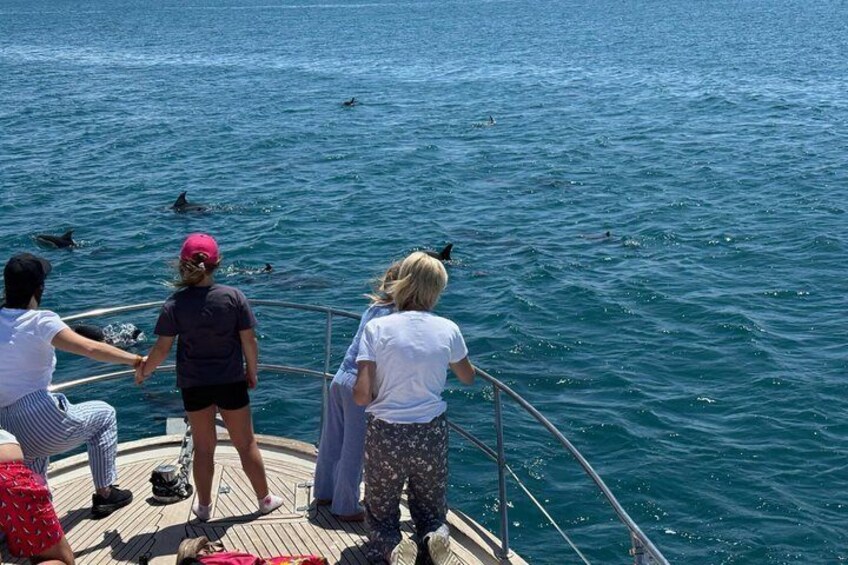 A group of people on a boat, observing dolphins in the water. 5