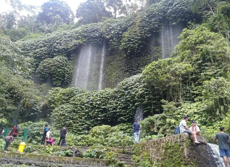 A waterfall surrounded by lush greenery and people observing it. 3