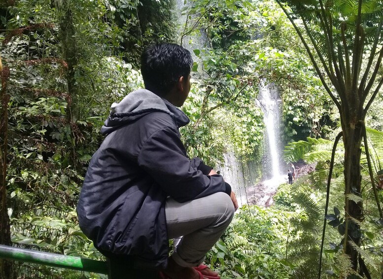 A person sitting on a railing, overlooking a waterfall in a lush forest. 1