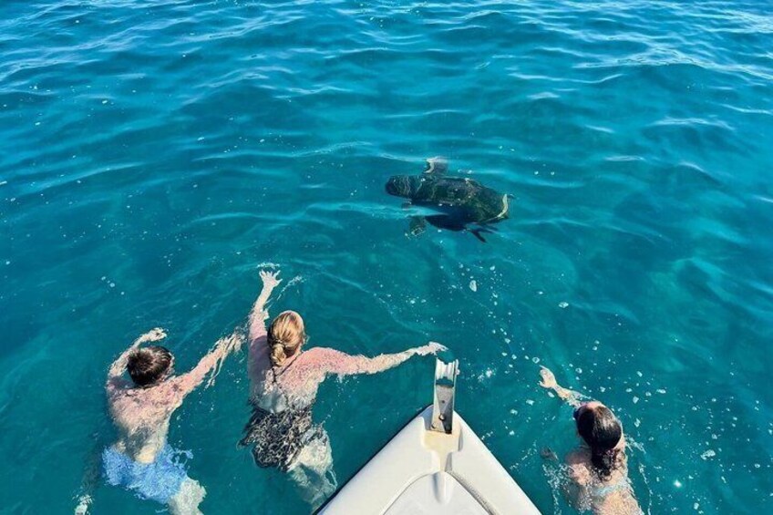 Three people swimming in clear blue water with a turtle nearby. 5