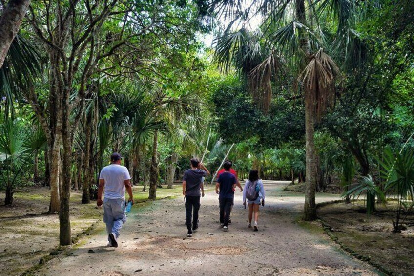 A group of people walking on a dirt path surrounded by lush greenery and tall trees. 1