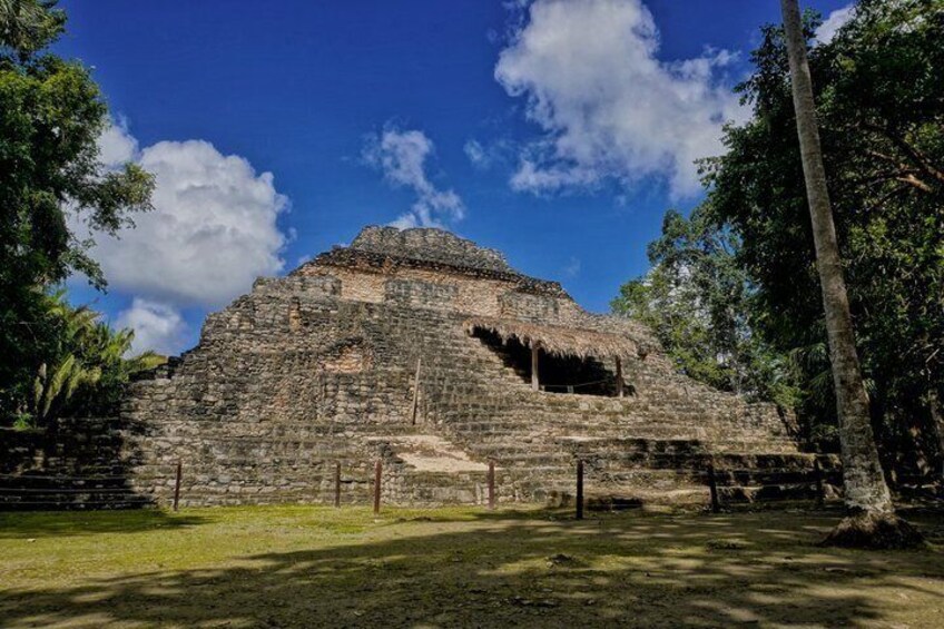 An ancient stone structure with a stepped pyramid and a thatched roof, surrounded by trees and grass. 2