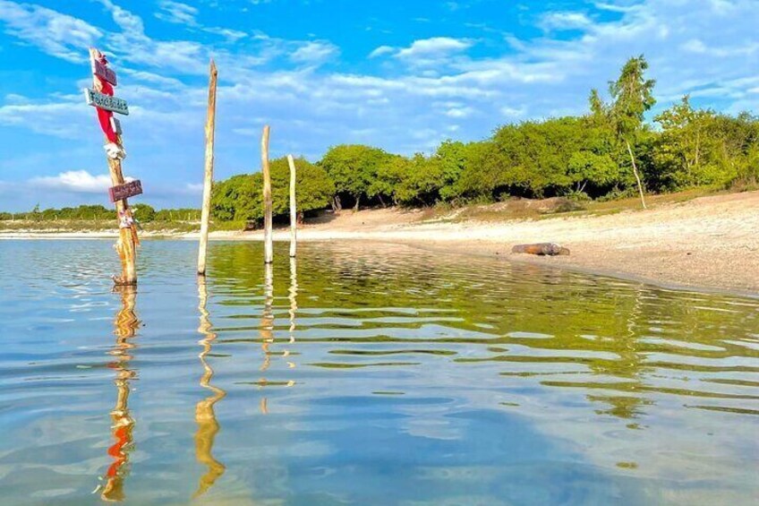 A calm beach with wooden posts, clear water, and a forested area in the background. 1