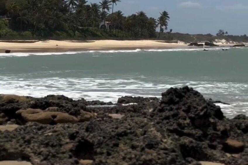 A beach with waves, rocks, and palm trees. 4