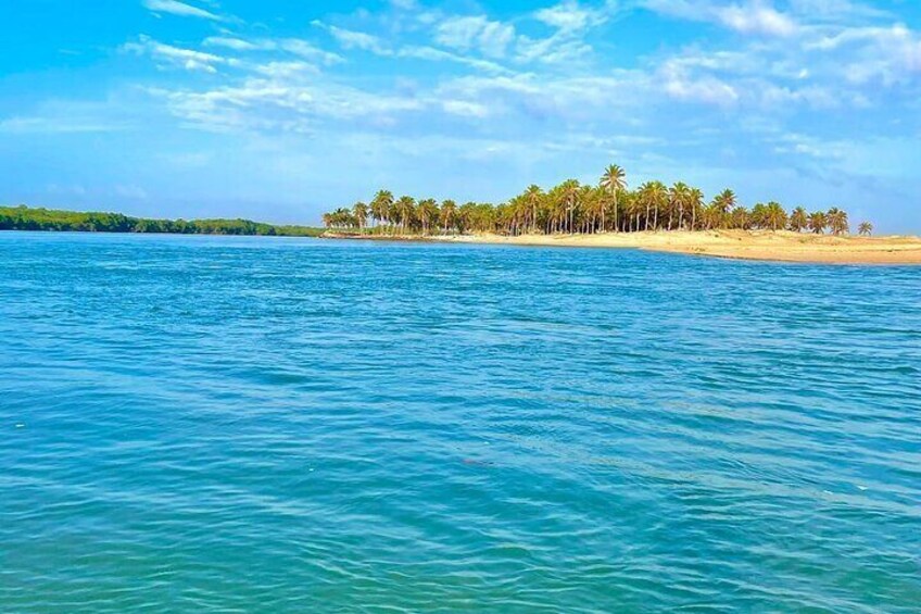 A calm sea, a sandy beach, and a line of palm trees. 2
