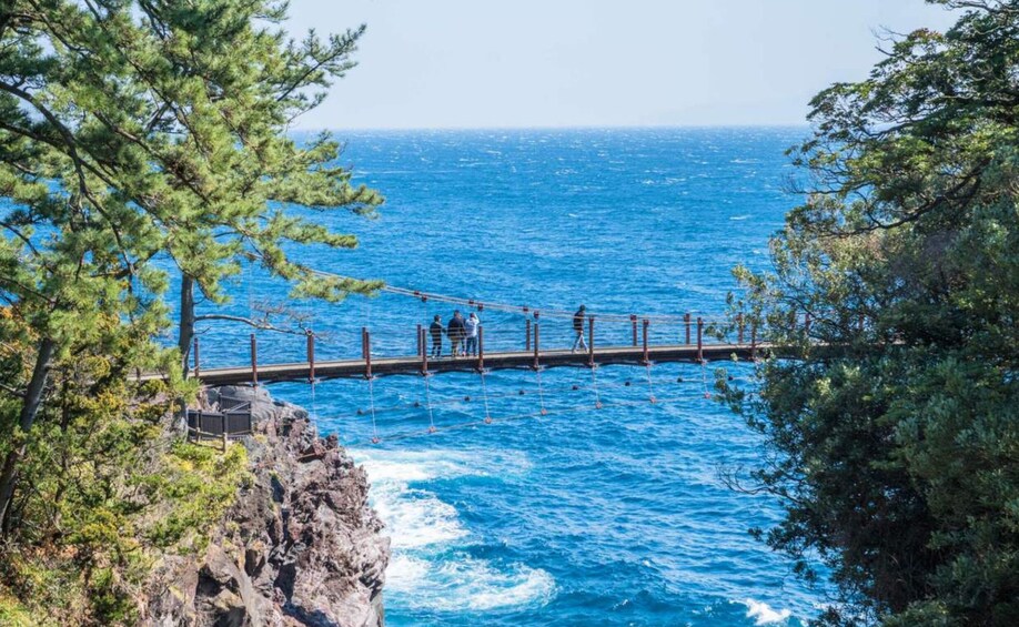 Explore Izu: Mt. Omuro, Jogasaki Coast & Resort 21 Train 4