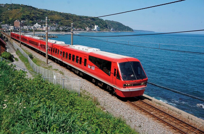 Explore Izu: Mt. Omuro, Jogasaki Coast & Resort 21 Train 5