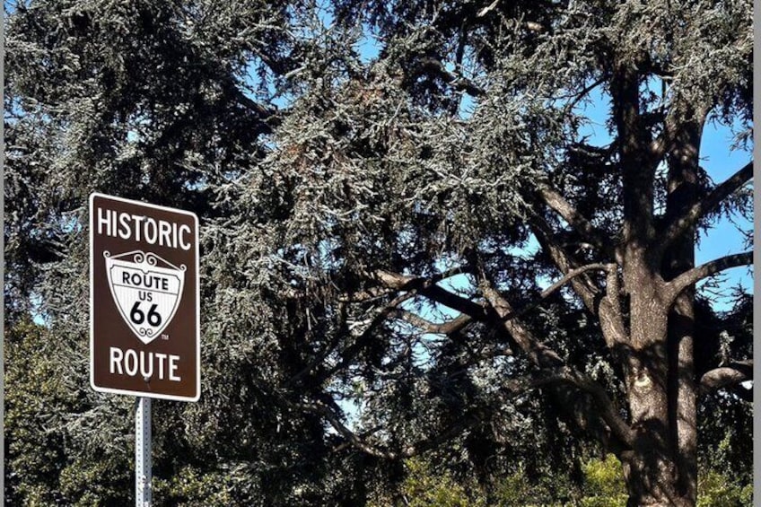 A historic route US 66 sign with a large tree in the background. 4