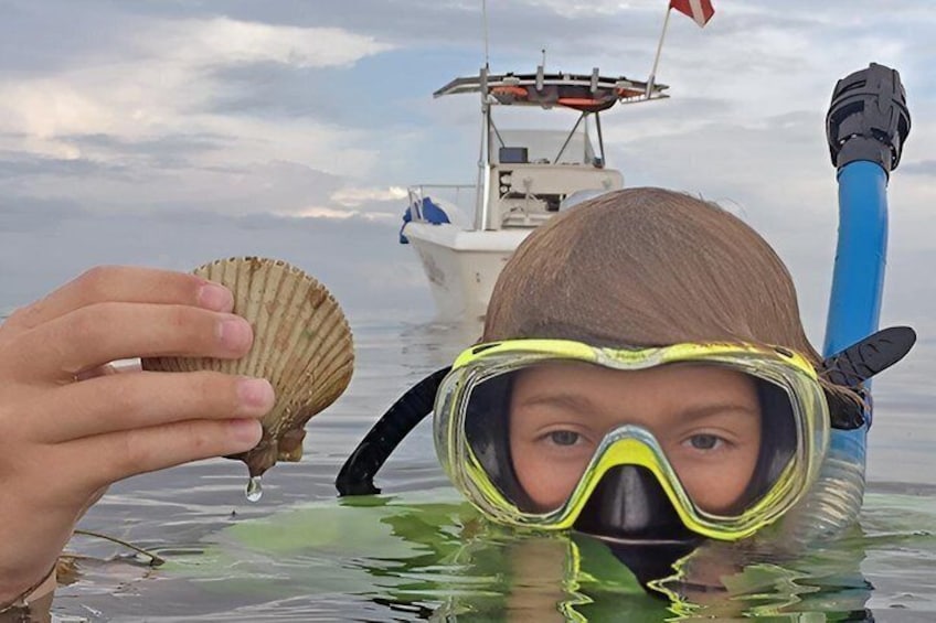 A person holding a seashell in the water with a boat in the background. 1