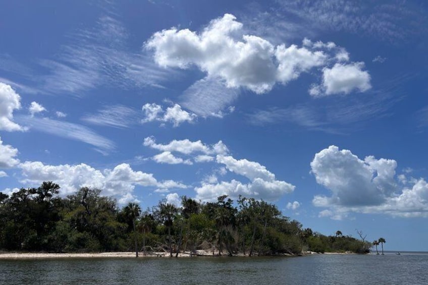 A coastal landscape with a clear sky, scattered clouds, and dense vegetation along the shoreline. 2
