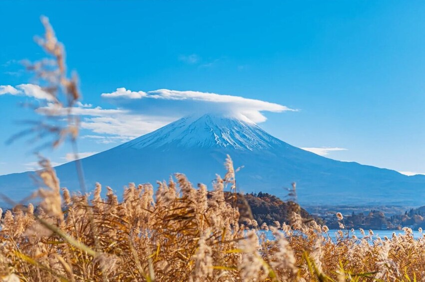 Fuji Scenic Loop: Iyashi no Sato, Sengen Park & Lakes 3