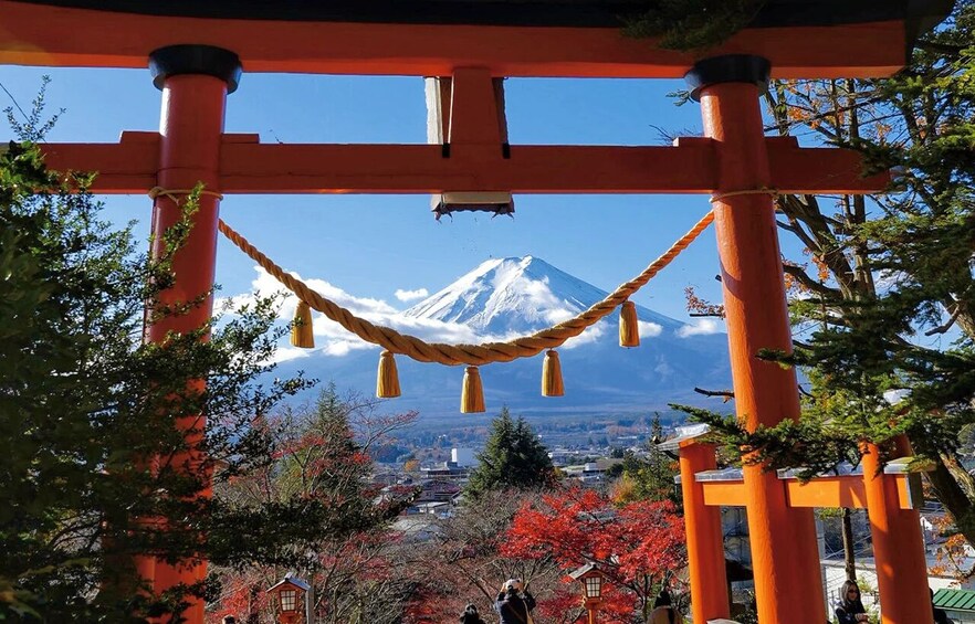 Fuji Scenic Loop: Iyashi no Sato, Sengen Park & Lakes 5