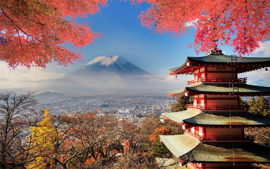 Fuji Scenic Loop: Iyashi no Sato, Sengen Park & Lakes 2