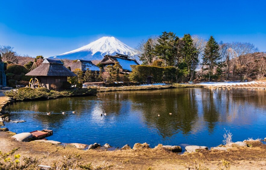 Fuji Scenic Loop: Iyashi no Sato, Sengen Park & Lakes 4