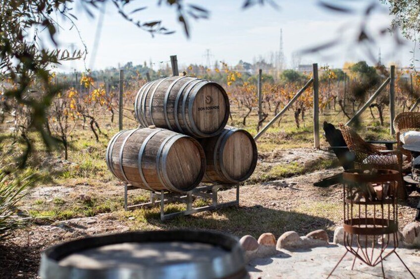 Wooden barrels stacked on a stand, a rustic outdoor seating area, and a vineyard in the background. 5