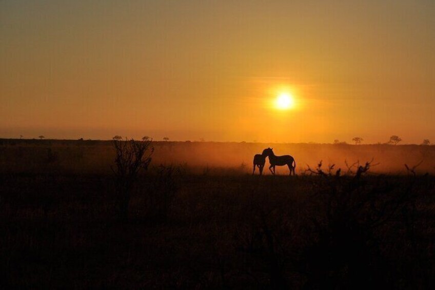 A sunset over a savanna with two horses grazing. 2