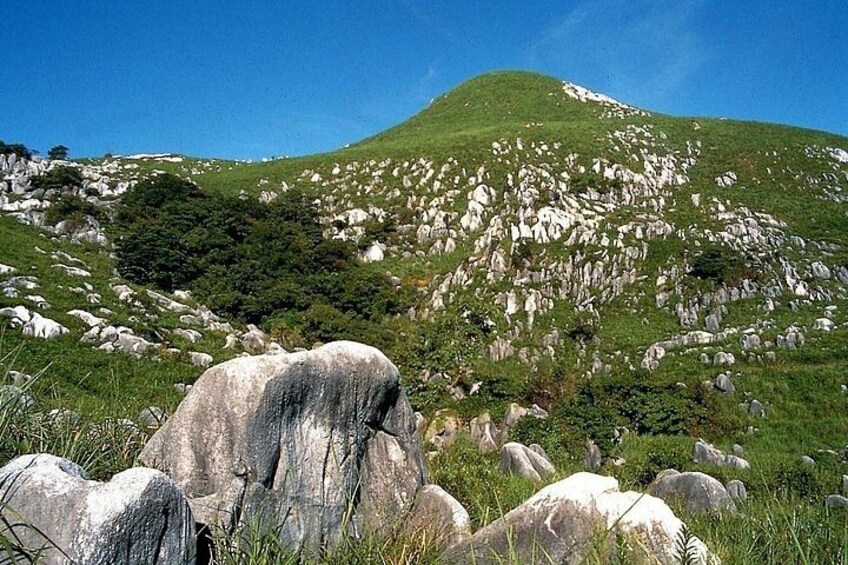Kitakyushu 6hr Private Tour by Car with Licensed Guide 4