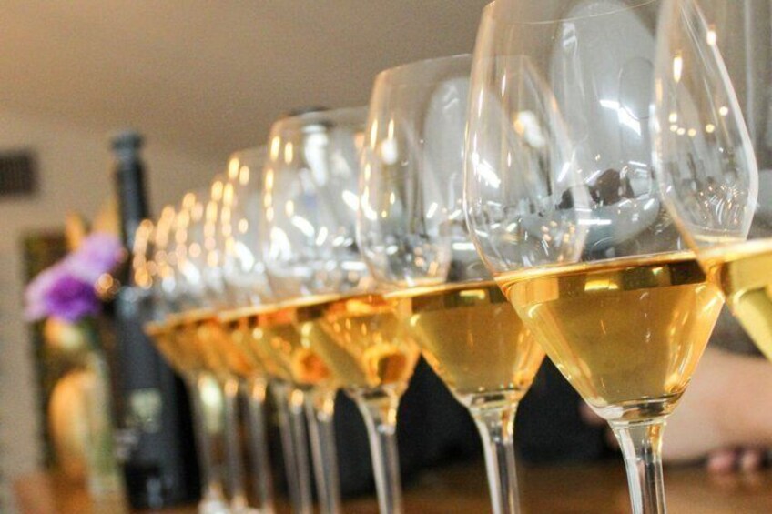 A row of wine glasses filled with white wine, arranged on a table. 2
