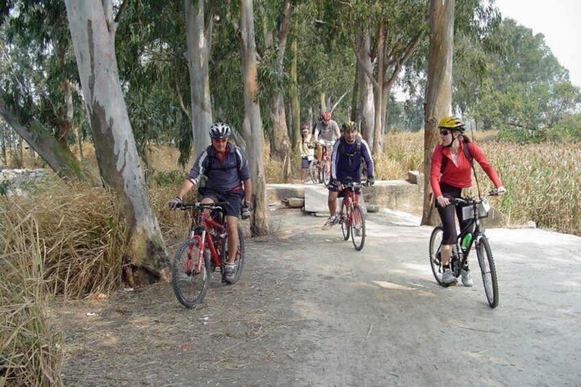 Cyclists on a dirt path surrounded by trees. 1