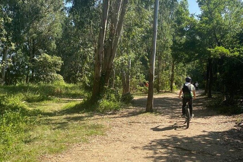 Hong Kong Cycling Adventure 2