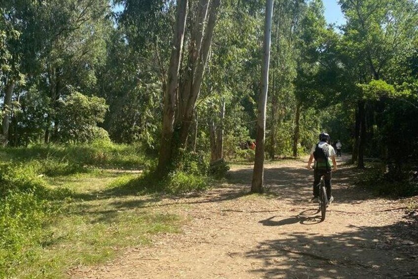 A person riding a bicycle on a dirt path surrounded by trees. 2