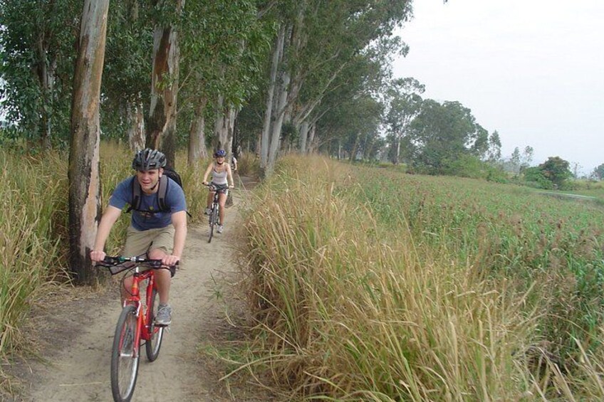 Hong Kong Cycling Adventure 4