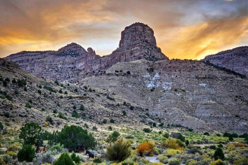 A desert landscape with a prominent rock formation and sparse vegetation. 3