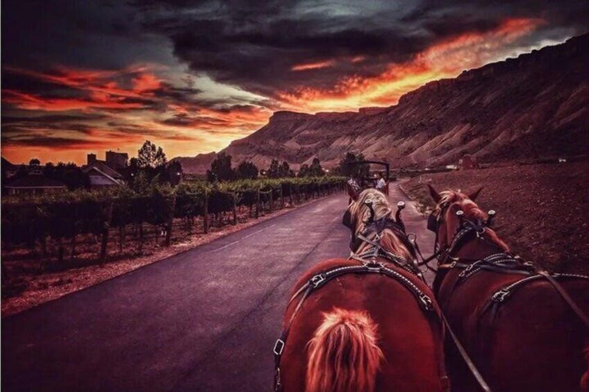 A horse-drawn carriage on a road with vineyards on one side and a mountain in the background. 1
