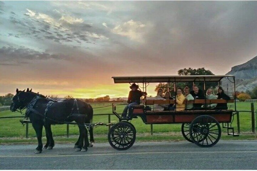 A horse-drawn carriage with passengers on a road. 5